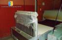 Fabricante de horno industrial rotativo elctrico Fornimaq