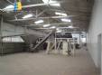 Automatizado de lnea de produccin de galletas capacidad 800 kg/h