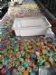 Industria de fabricaci�n de paletas de colores, chupetes, tweeps, caramelos y deliciosas golosinas.