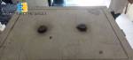 Horno de secado de esterilizacin Fanem
