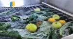 Tanque compacto de esterilizacin de alimentos