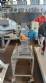 Procesador triturador AGMAC 100 kg/h