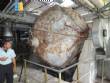 Secador giratorio doble