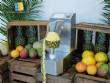 Peladora autom�tica para pi�a, mango y mel�n, 250 unidades por minuto Astra