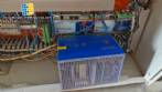 M�quina rotativa de acero inoxidable para llenado, dosificaci�n y sellado, con junta de aluminio, para tarros, vasos y botellas Delgo.