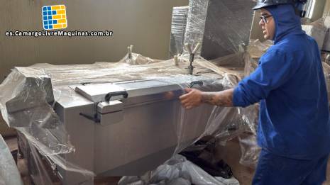 Procesador autom�tico de mollejas, 7.000 unidades por hora, Usinox, a�o 2020