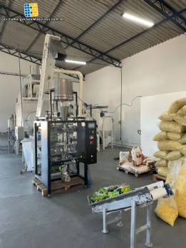 L�nea para la producci�n de snacks Inbramaq 230 kg