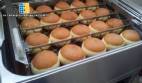 Freidora de acero inoxidable para rosquillas dulces y sueos MCI 60 kg/hora