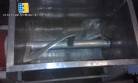 Mezclador sigma de acero inoxidable para 80 litros