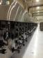 Gran horno industrial continuo Ariete