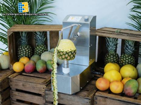 Peladora automática para piña, mango y melón, 250 unidades por minuto Astra Peladora automática para piña, mango y melón, 250 unidades por minuto Astra